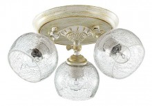 Спот Lumion Clodina 3116/3CA