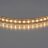 Lightstar · 402032