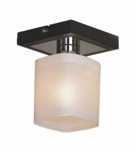 Светильник на штанге Lussole Loft Costanzo LSL-9007-01