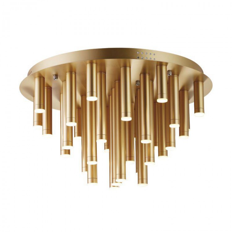  Favourite · Organ · 2104-33U