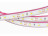 Лента RTW 2-5000P 12V Blue (3528, 300 LED, LUX) (1 м, отгружается по 5 м)
