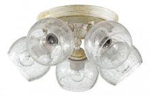 Спот Lumion Clodina 3116/5CA