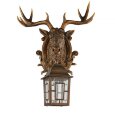  Favourite · Hunt · 2078-1W