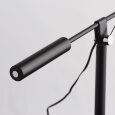  Настольная лампа офисная MW-Light Ракурс 8 631033701