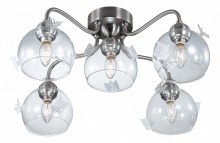 Потолочная люстра Odeon Light Meleta 2764/5C