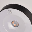  Настольная лампа офисная MW-Light Ракурс 631034101