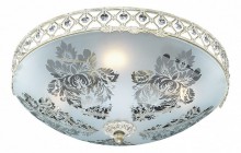 Накладной светильник Odeon Light Aspena 2777/4C