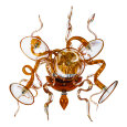 Lightstar · Ricciolo · 894653
