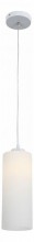 Подвесной светильник ST Luce Sotti SL754.503.01