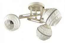 Потолочная люстра Lumion Tatina 3119/3C