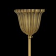  Светильник на штанге MW-Light Афродита 1 317011504