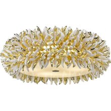 Divinare · Barbara · 1336/03 PL-6