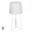  MW-Light · 494030701