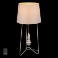  MW-Light · 494030701