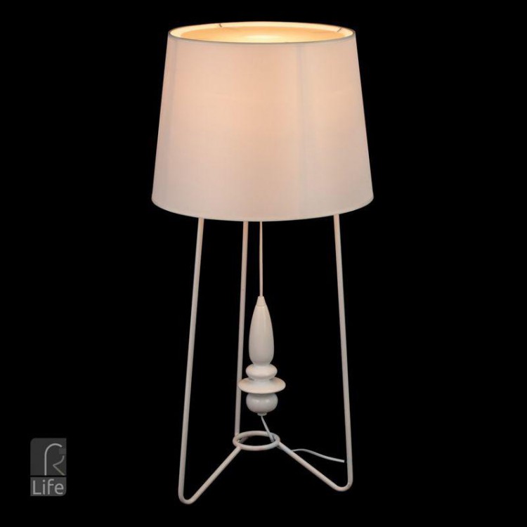  MW-Light · 494030701
