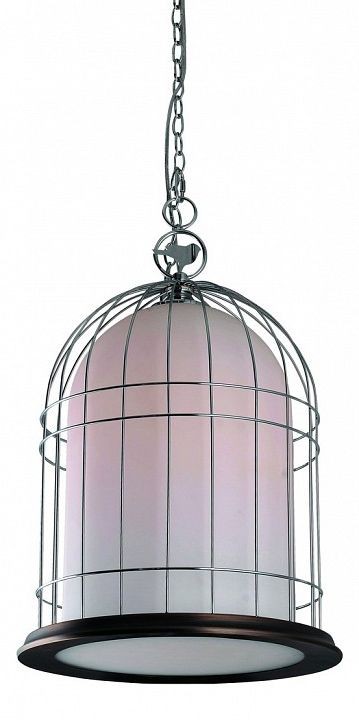 Divinare · Gabbiata · 1166/01 SP-1