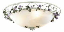 Накладной светильник Odeon Light Tender 2796/3C