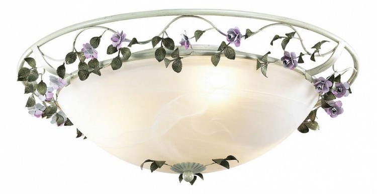  Накладной светильник Odeon Light Tender 2796/3C