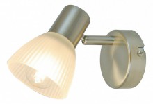 Arte Lamp · Parry · A5062AP-1SS