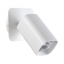 Novotech · GUSTO · 370553