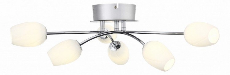  Потолочная люстра ST Luce Luna SL478.102.06