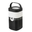  Arte Lamp · Music band · A2005LT-1BK