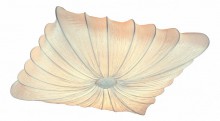 Накладной светильник ST Luce Tela SL356.552.08