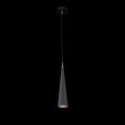  Maytoni · Nevill · P318PL-01B