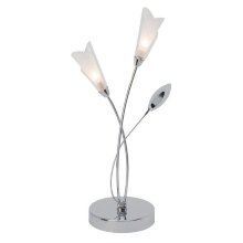 Brilliant · Veerle · G19542/15