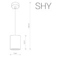  Nowodvorski · Shy · 9391