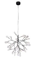  Crystal Lux · Evita · EVITA SP36 BLACK/TRANSPARENT