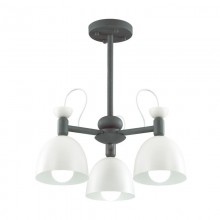 Lumion · Fiona · 3687/3C