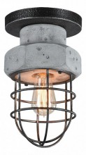 Накладной светильник Lussole Loft LSP-9701