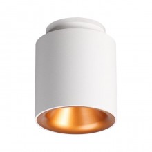 Novotech · ORO · 358158
