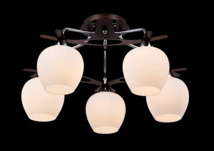 Maytoni · Eurosize 7 · TOC007-05-N