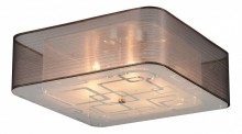 Накладной светильник ST Luce SL940.802.06