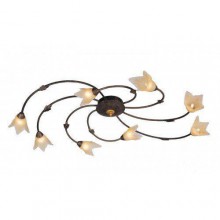 Arte Lamp · joy · A1050PL-8BR
