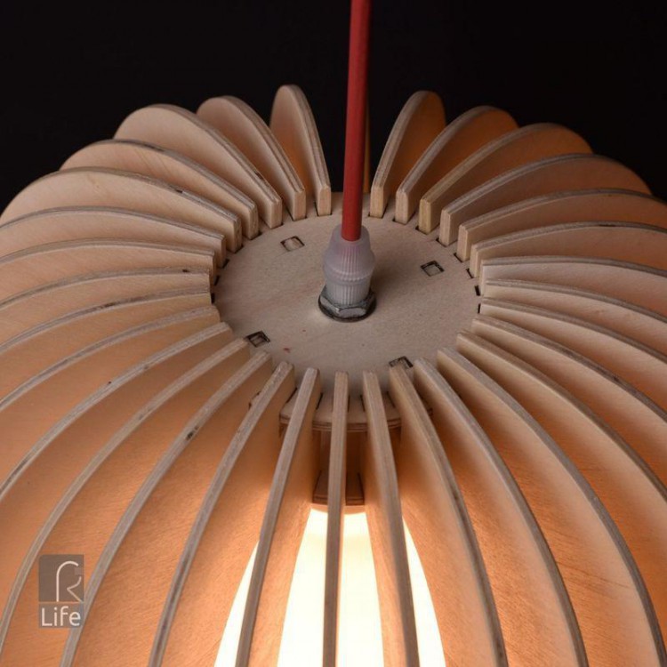  MW-Light · 645010301