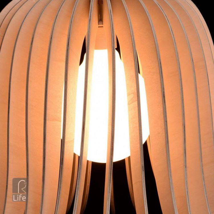  MW-Light · 645010301