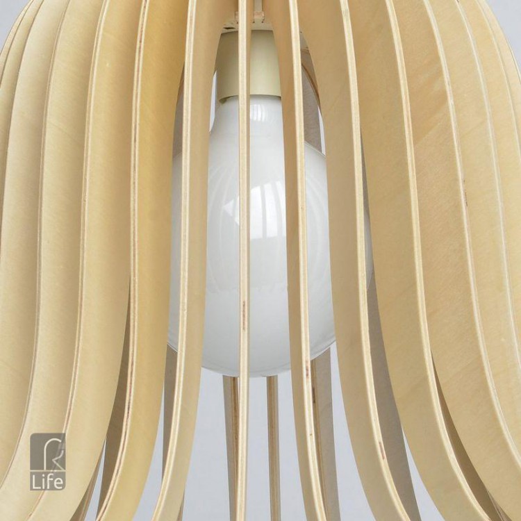  MW-Light · 645010301