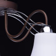  Потолочная люстра MW-Light Альфа 3 324013105
