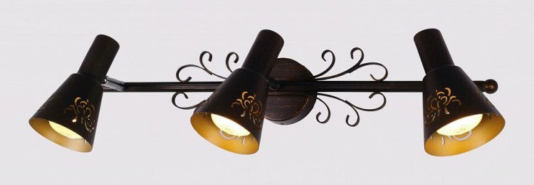 Citilux · Дункан · CL529531