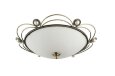  Freya · Amado · FR2700-CL-03-BZ