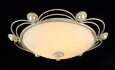  Freya · Amado · FR2700-CL-03-WG