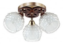 Спот Lumion Federro 3057/3C