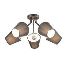 Lumion · Lori · 3749/5C