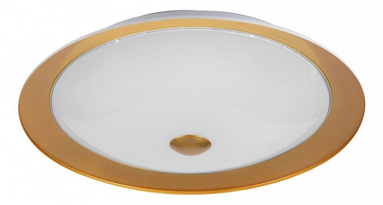 Maytoni · Euler · CL815-PT35-G