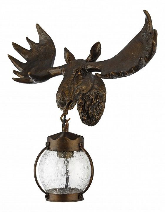  Светильник на штанге Favourite Hunt 1848-1W