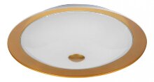 Maytoni · Euler · CL815-PT42-G
