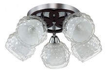 Спот Lumion Federro 3058/5C